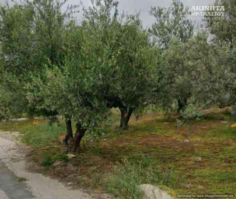 εικόνα_Viber_2026-02-13_14-58-04-348.jpg